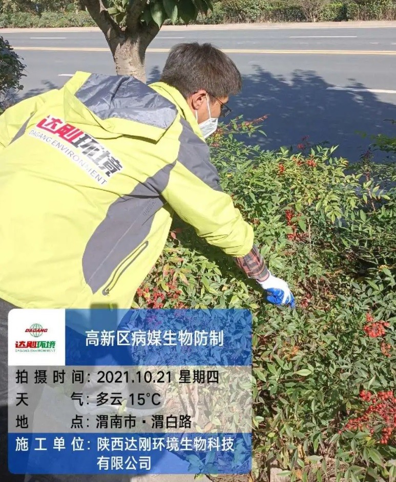 1637814551695892.jpeg 3.jpg