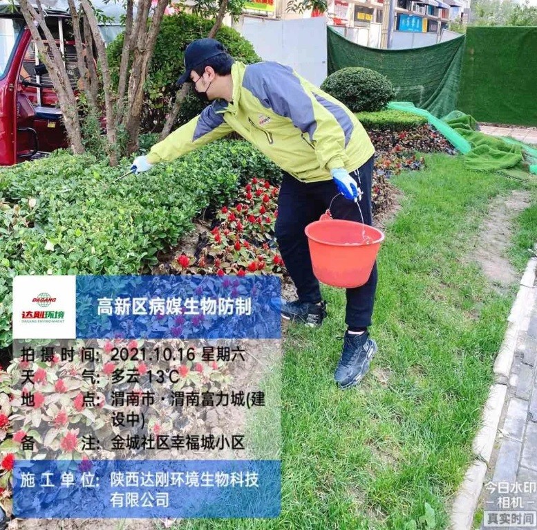 1637814588298407.jpeg 4.jpg